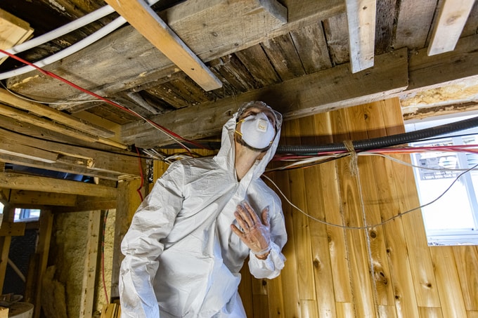 JigsawPMR performing mold inspection in North Jersey suburb